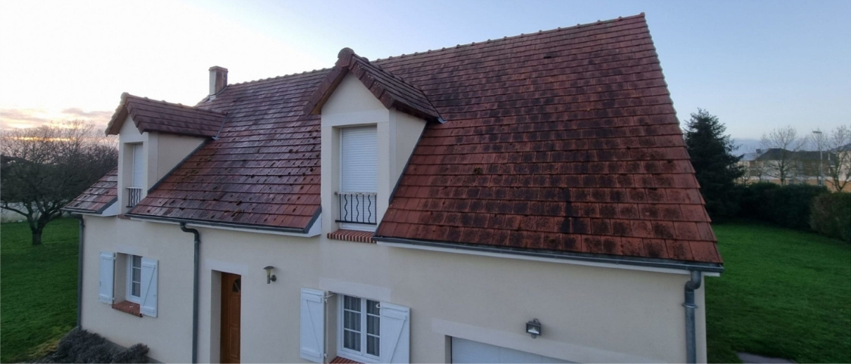 Toiture en tuiles envahie par la mousse, avant intervention